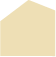 Icono de casa minimalista en tono beige sobre fondo blanco